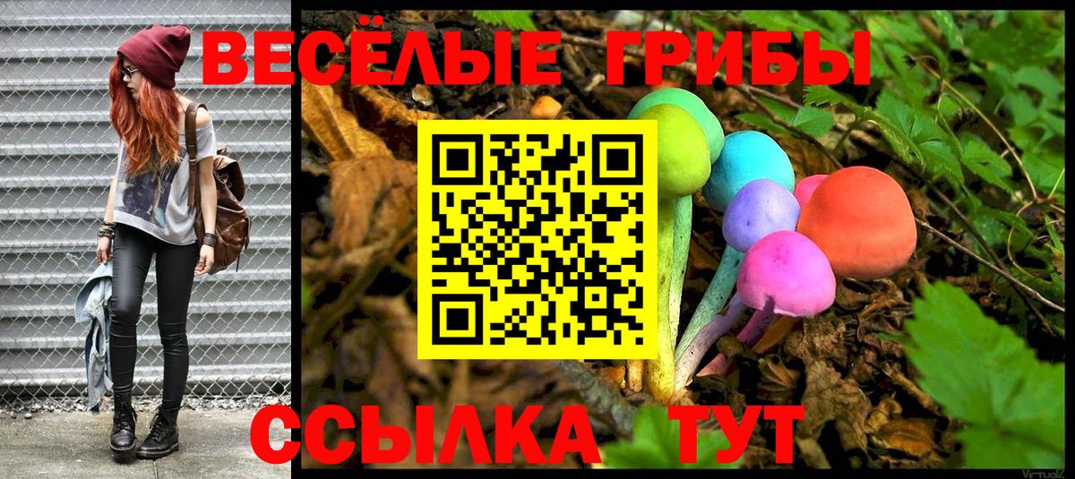 Богданович  Псилоцибиновые грибы Psilocybine cubensis  хочу   Вход с VPN 