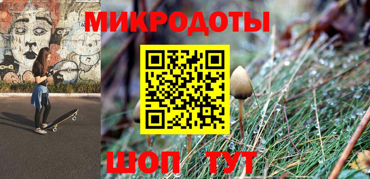 Галлюциногенные грибы Cubensis Богданович